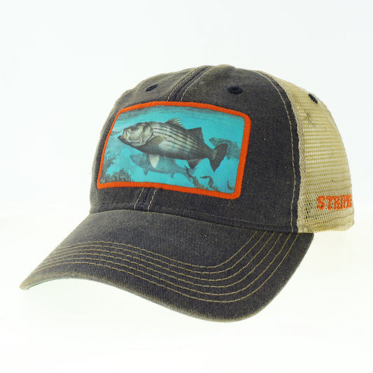 Striper – Navy Trucker