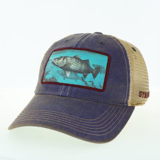 Striper – Blue Trucker