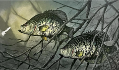 Crappie Hats