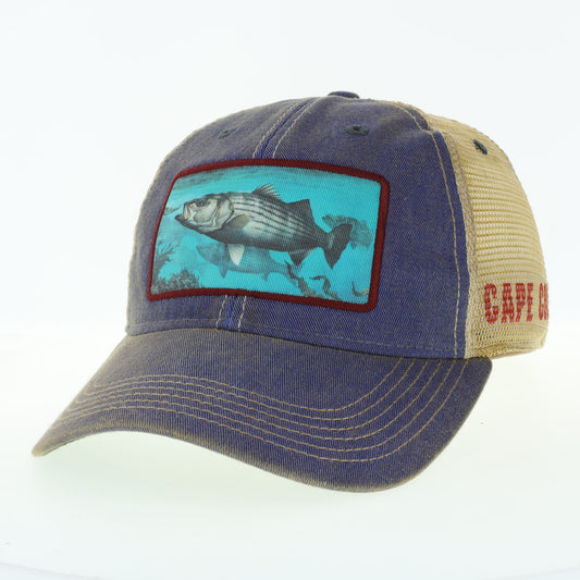 Cape Cod Striper – Blue Trucker