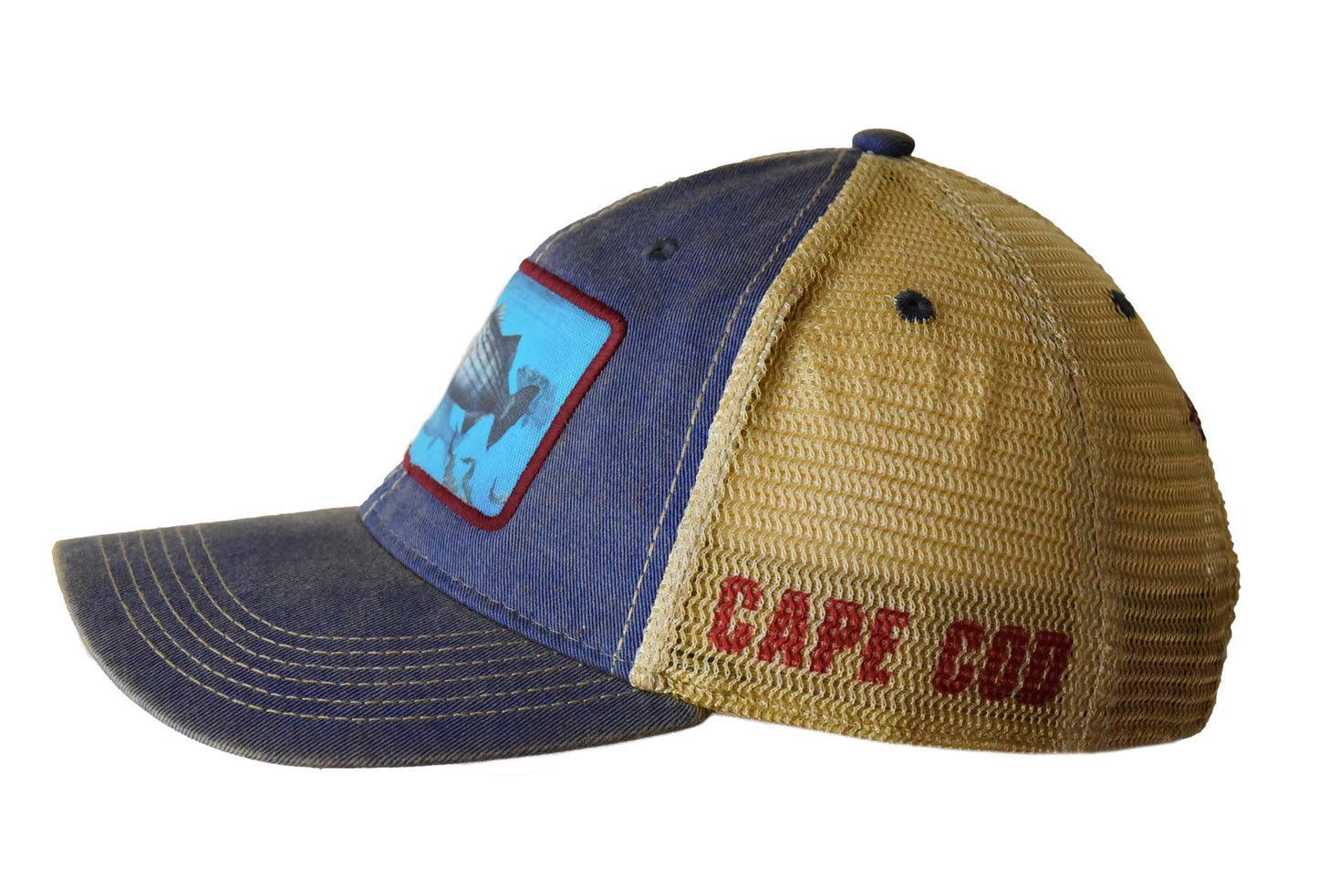 Cape Cod Striper – Blue Trucker